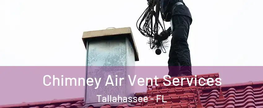  Chimney Air Vent Services Tallahassee - FL