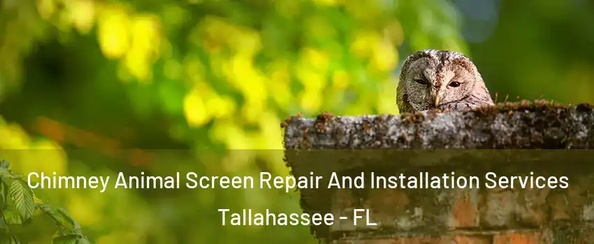  Chimney Animal Screen Repair And Installation Services Tallahassee - FL