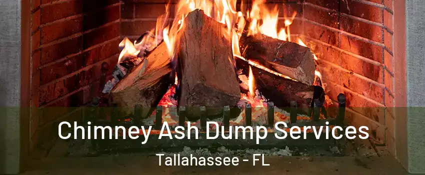  Chimney Ash Dump Services Tallahassee - FL