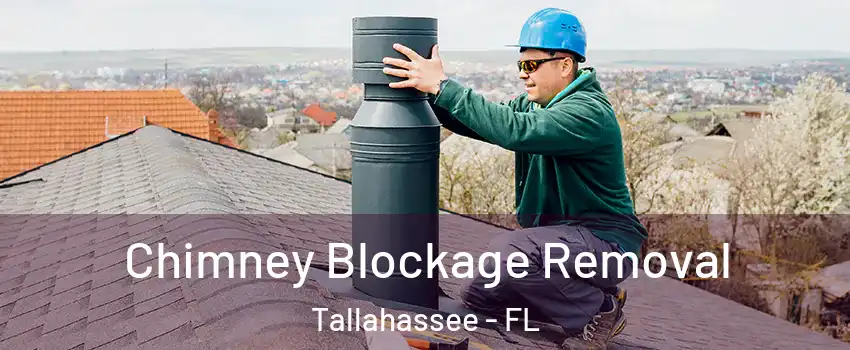  Chimney Blockage Removal Tallahassee - FL