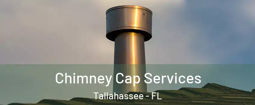  Chimney Cap Services Tallahassee - FL