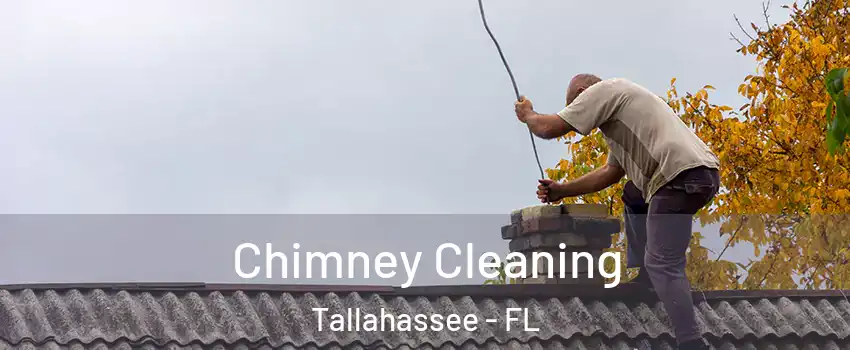  Chimney Cleaning Tallahassee - FL