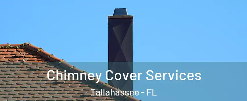  Chimney Cover Services Tallahassee - FL