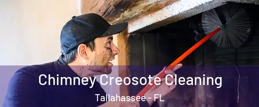  Chimney Creosote Cleaning Tallahassee - FL