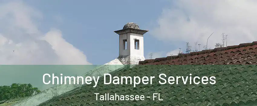  Chimney Damper Services Tallahassee - FL
