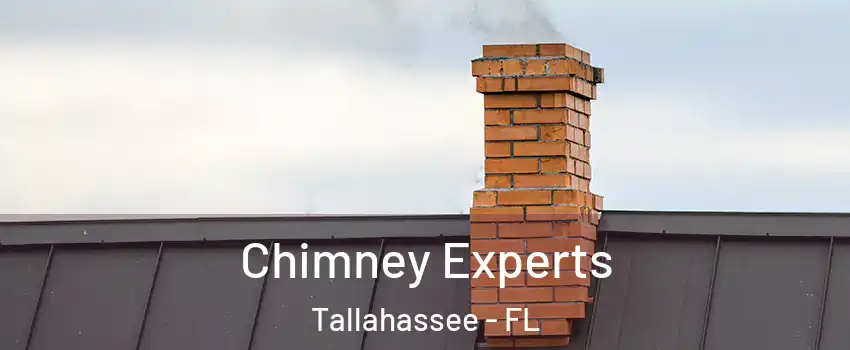  Chimney Experts Tallahassee - FL