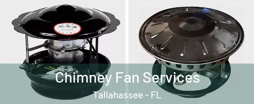  Chimney Fan Services Tallahassee - FL