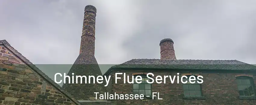  Chimney Flue Services Tallahassee - FL