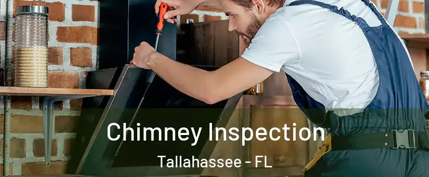  Chimney Inspection Tallahassee - FL