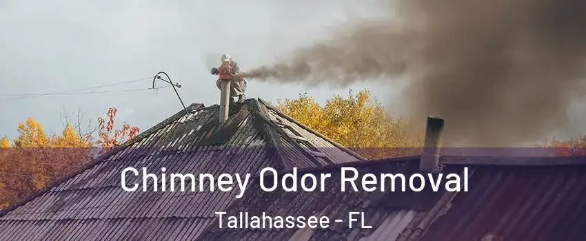  Chimney Odor Removal Tallahassee - FL