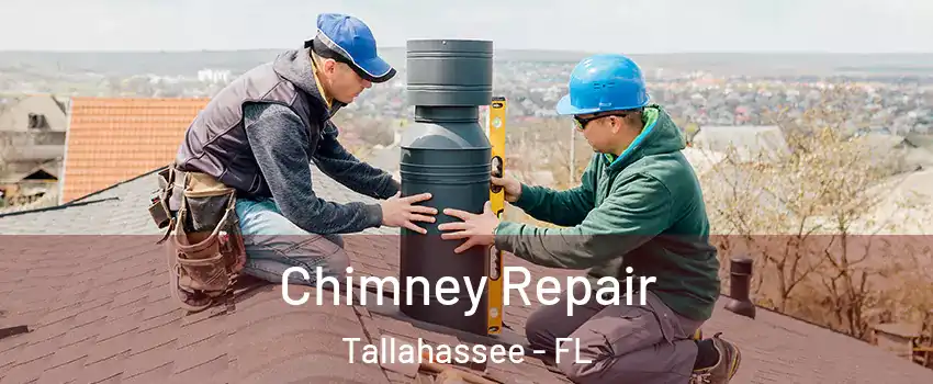  Chimney Repair Tallahassee - FL