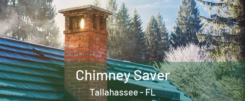  Chimney Saver Tallahassee - FL