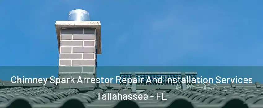  Chimney Spark Arrestor Repair And Installation Services Tallahassee - FL