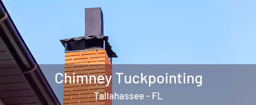  Chimney Tuckpointing Tallahassee - FL