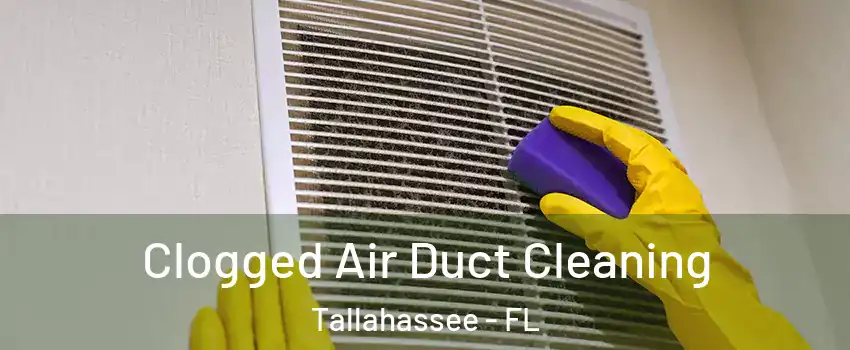  Clogged Air Duct Cleaning Tallahassee - FL