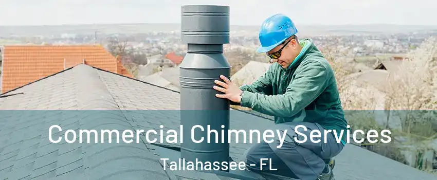  Commercial Chimney Services Tallahassee - FL