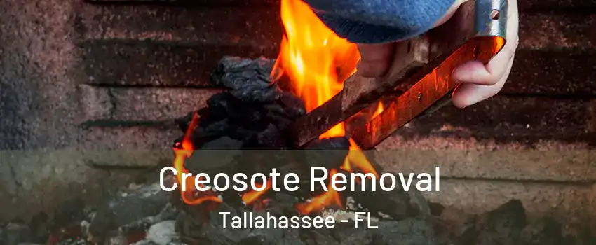  Creosote Removal Tallahassee - FL