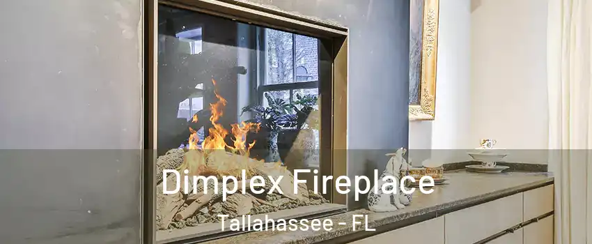  Dimplex Fireplace Tallahassee - FL