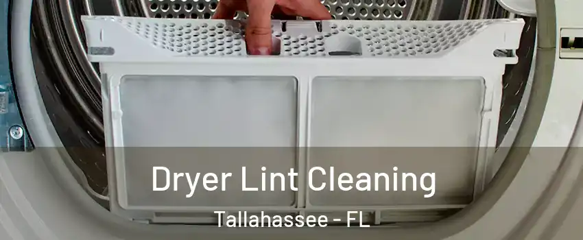  Dryer Lint Cleaning Tallahassee - FL