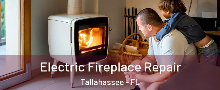  Electric Fireplace Repair Tallahassee - FL