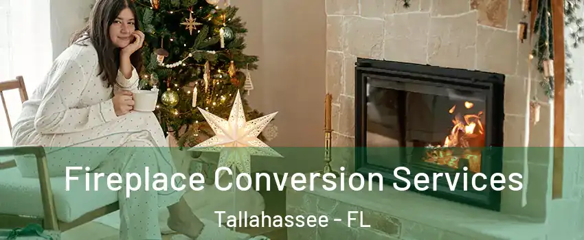  Fireplace Conversion Services Tallahassee - FL