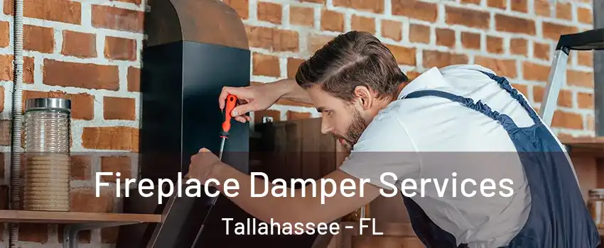  Fireplace Damper Services Tallahassee - FL
