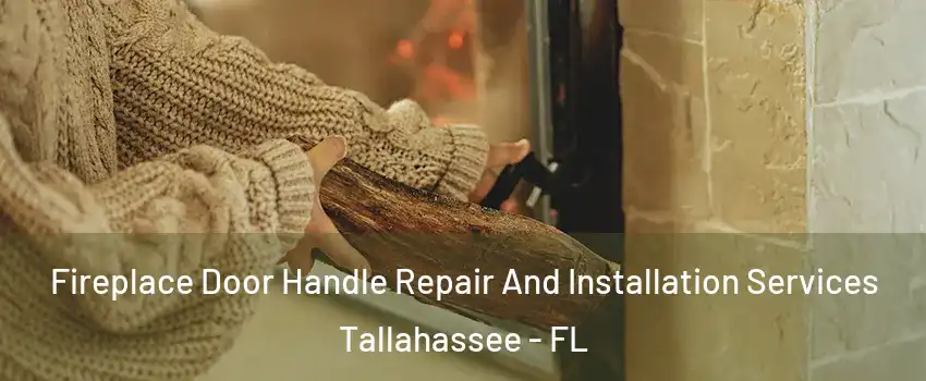  Fireplace Door Handle Repair And Installation Services Tallahassee - FL