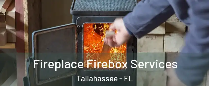  Fireplace Firebox Services Tallahassee - FL
