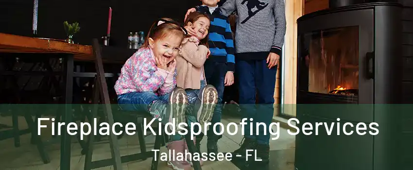  Fireplace Kidsproofing Services Tallahassee - FL