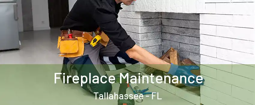  Fireplace Maintenance Tallahassee - FL