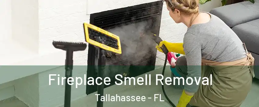  Fireplace Smell Removal Tallahassee - FL