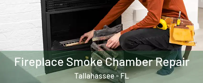  Fireplace Smoke Chamber Repair Tallahassee - FL