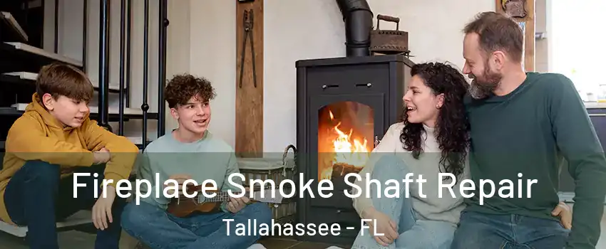  Fireplace Smoke Shaft Repair Tallahassee - FL