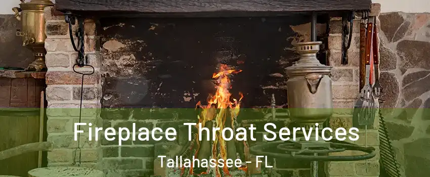  Fireplace Throat Services Tallahassee - FL