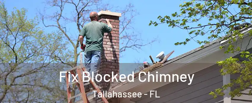  Fix Blocked Chimney Tallahassee - FL