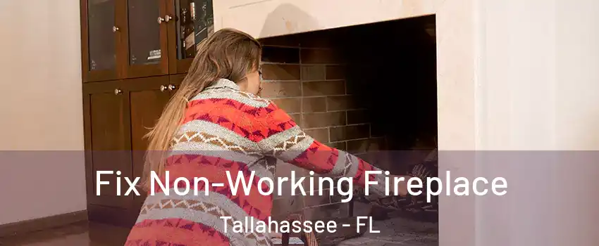  Fix Non-Working Fireplace Tallahassee - FL