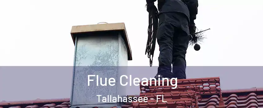  Flue Cleaning Tallahassee - FL
