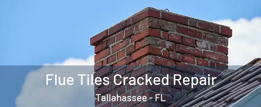  Flue Tiles Cracked Repair Tallahassee - FL