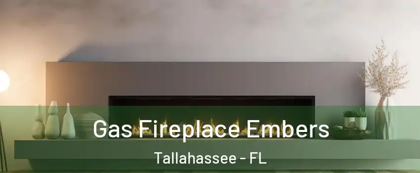  Gas Fireplace Embers Tallahassee - FL