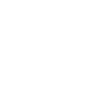 Professional Chimney Flue Installation in Tallahassee, Florida