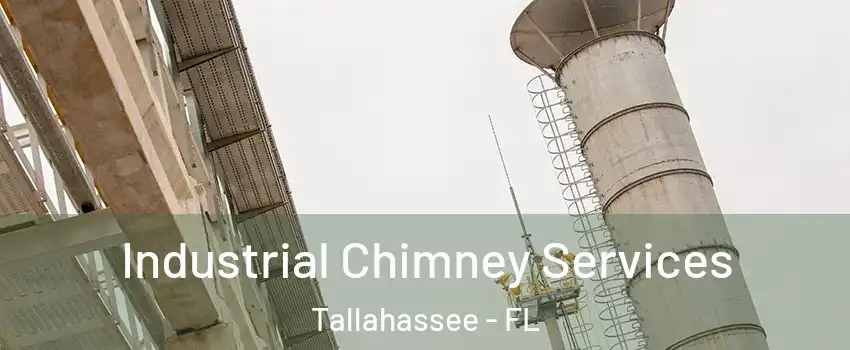  Industrial Chimney Services Tallahassee - FL