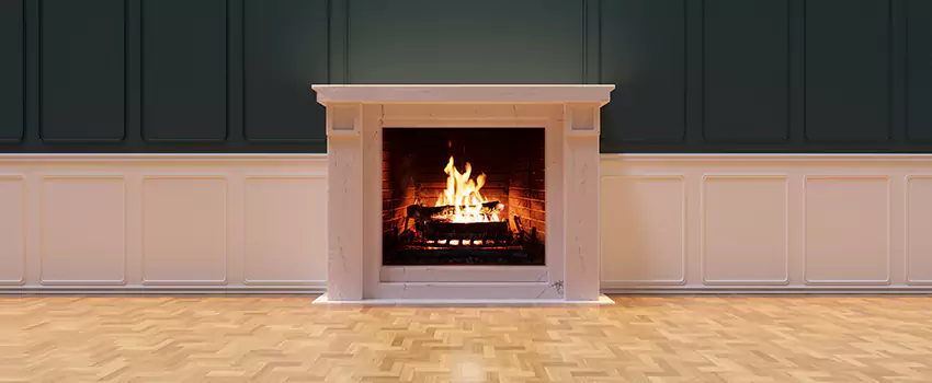 Napoleon Electric Fireplaces Inspection Service in Tallahassee, Florida