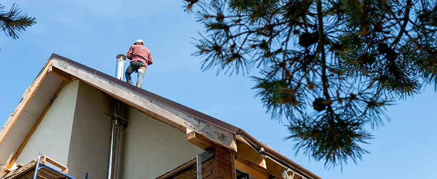 Birds Removal Contractors from Chimney in Tallahassee, FL
