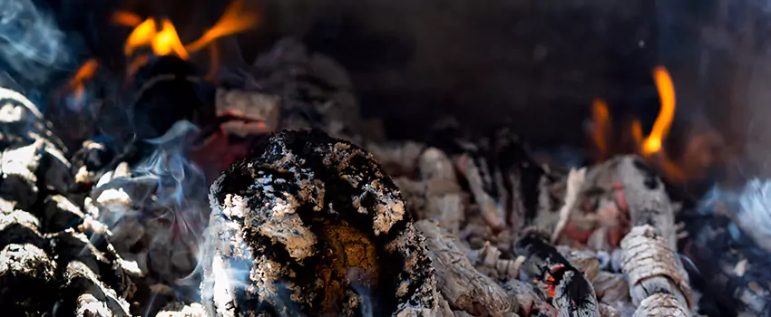 Creosote Removal Experts in Tallahassee, FL