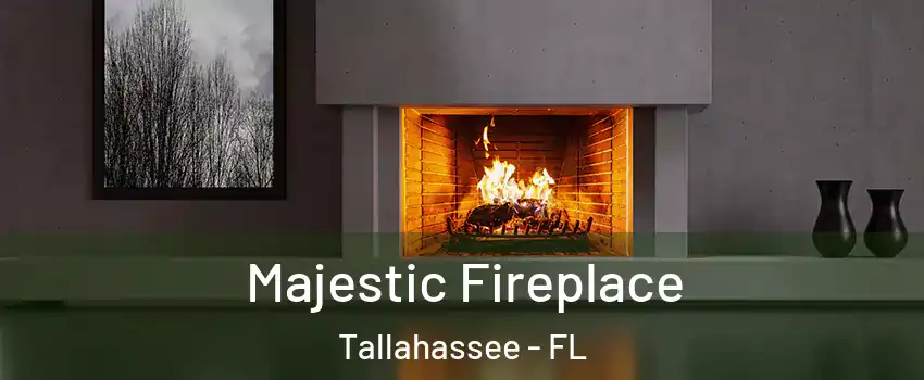  Majestic Fireplace Tallahassee - FL