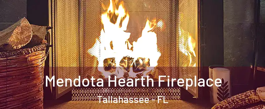  Mendota Hearth Fireplace Tallahassee - FL
