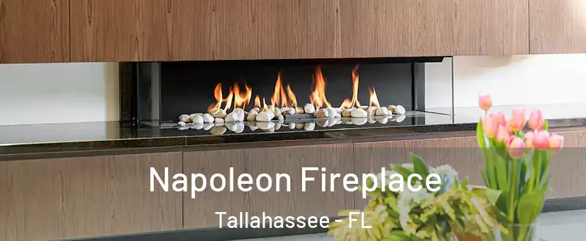  Napoleon Fireplace Tallahassee - FL