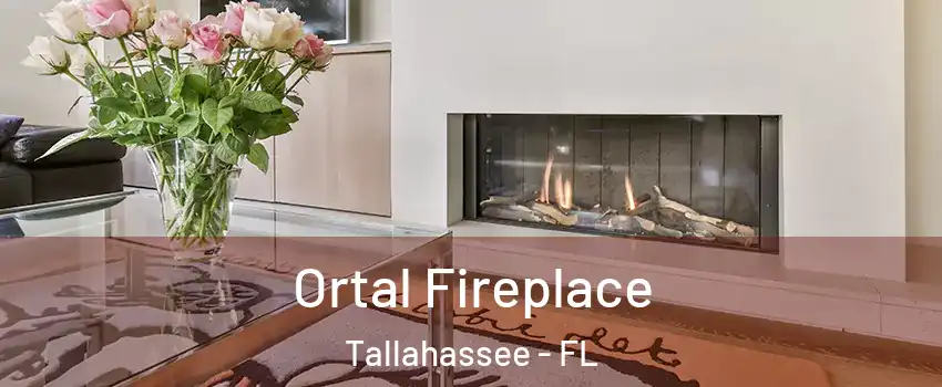  Ortal Fireplace Tallahassee - FL
