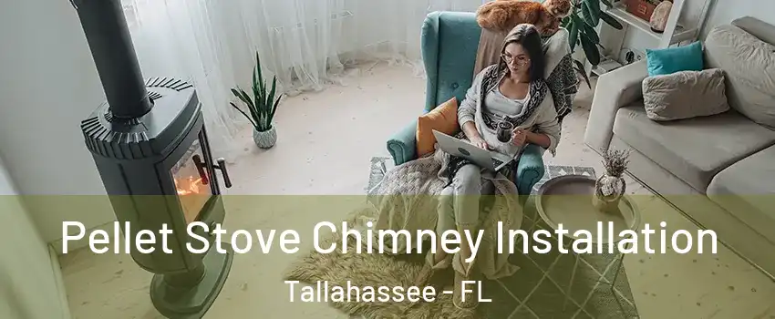  Pellet Stove Chimney Installation Tallahassee - FL