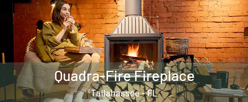  Quadra-Fire Fireplace Tallahassee - FL